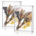thumbnail image 1 of 2 Cajas de Sombra de Acrílico para Exhibir, Cajas de Sombra con para DIY, Vitrinas de Acrílico Transparente para Recuerdos de Boda, Flores Secas., 1 of 5