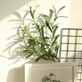 thumbnail image 3 of Walbest 1Pc 37" Tall Artificial Olive Branch Greenery Stems with Olive Leaves, Fake Eucalyptus Branch for Vase Bouquet Wedding Floral Arrangement, Greenery Decor, 3 of 7
