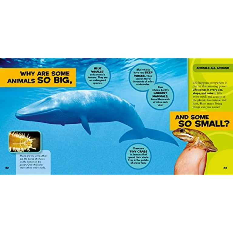National Geographic Little Kids First Big Book of Animals