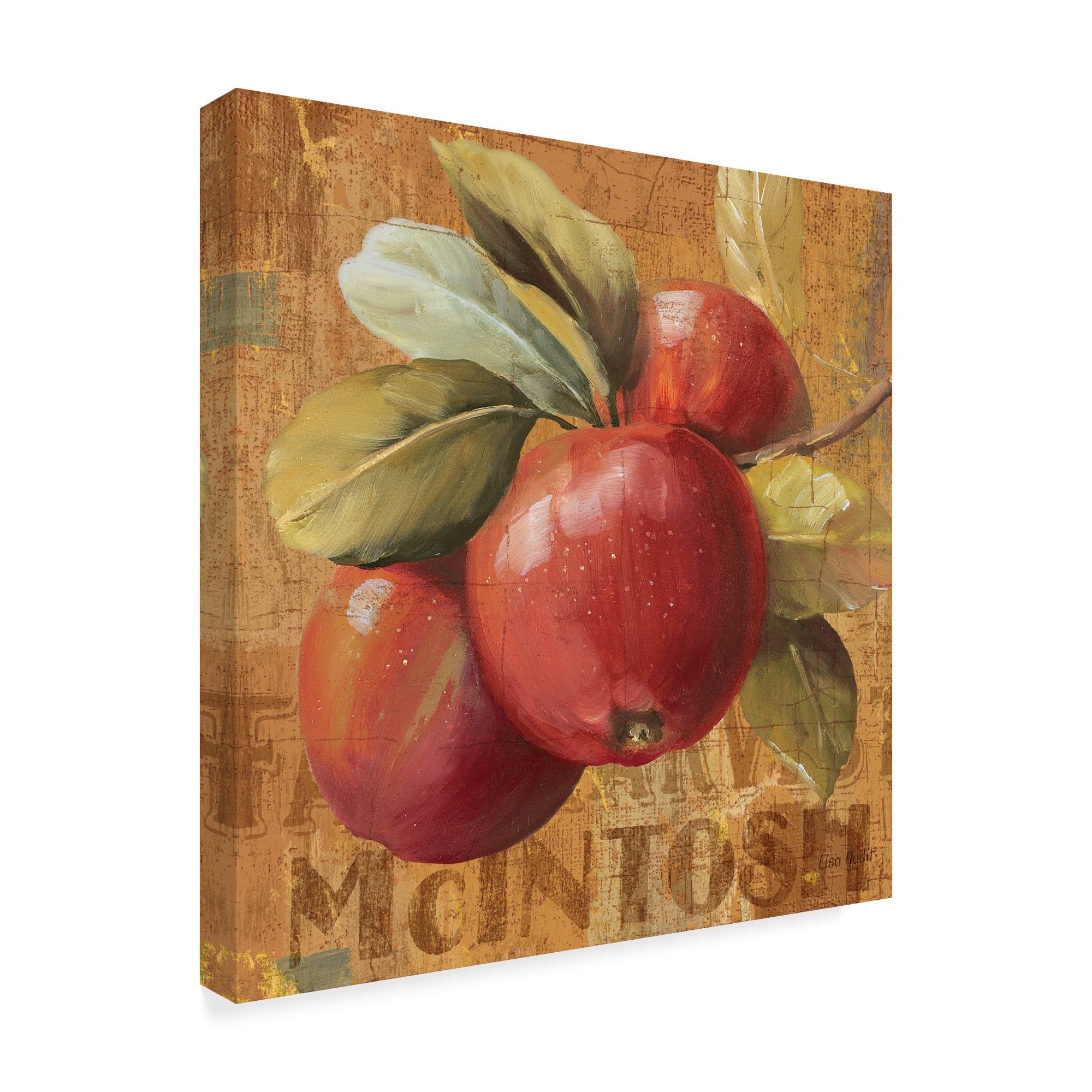 Trademark Fine Art 'Apple Season II' Canvas Art by Lisa Audit