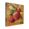 thumbnail image 2 of Trademark Fine Art 'Apple Season II' Canvas Art by Lisa Audit, 2 of 3