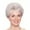 Silver, variant on Pullover Toupee-Women'S Fashion Wig Hairshort Wig Wigs Silversynthetic Hair Wig, Middle-Aged and Elderly Wig Rose Net Short Curly Hair Wig Rose Inner Net, High Temperature Wireback to School