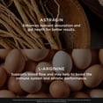 thumbnail image 6 of Genius L-Arginine Nitric Oxide Powder - Fermented L- Arginine Nutritional Supplements & Nitric Oxide Booster - 30 Servings, Lemon, 6 of 9