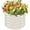 Cream White, variant on 6FT Diameter Galvanized Garden Raised Bed/Plant Box/Fire Pit Ring-0.8mm Thick,12 Inch Tall,Crimped Edge and Corner,No Sharpe,Perfect for Plantings (Silver, 72 Dia X 11.5 inches)