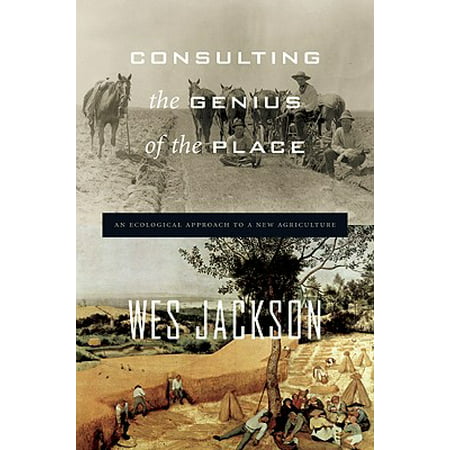 Consulting the Genius of the Place : An Ecological Approach to a New (Best Engineering Consulting Firms)