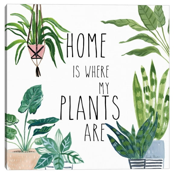 Plant Home II by Farida Zaman Canvas Art Print