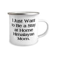 thumbnail image 2 of Unique Himalayan Cat, I Just Want to Be a Stay at Home Himalayan Mom, Holiday 12oz Camper Mug For Himalayan Cat, 2 of 2