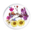 thumbnail image 1 of Flores secas reales coloridas 3D para el arte de uñas de acrílico del gel de la decoración 01 Baoblaze Flores secas de uñas 3D, 1 of 8
