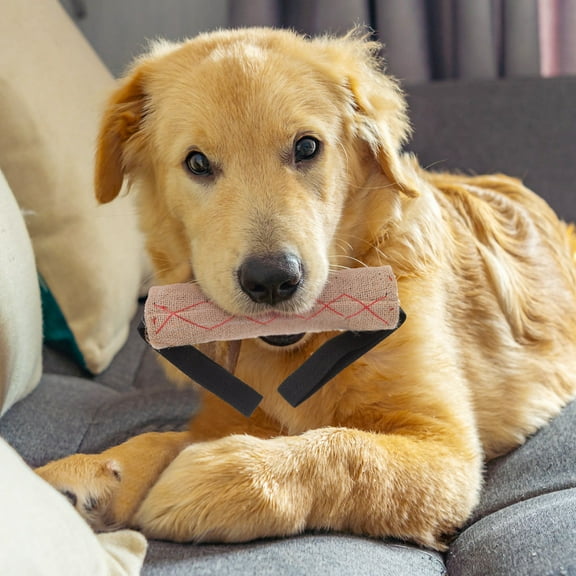 BESTYASH Dog Pull Toy for Big Puppies Beige 1Pack