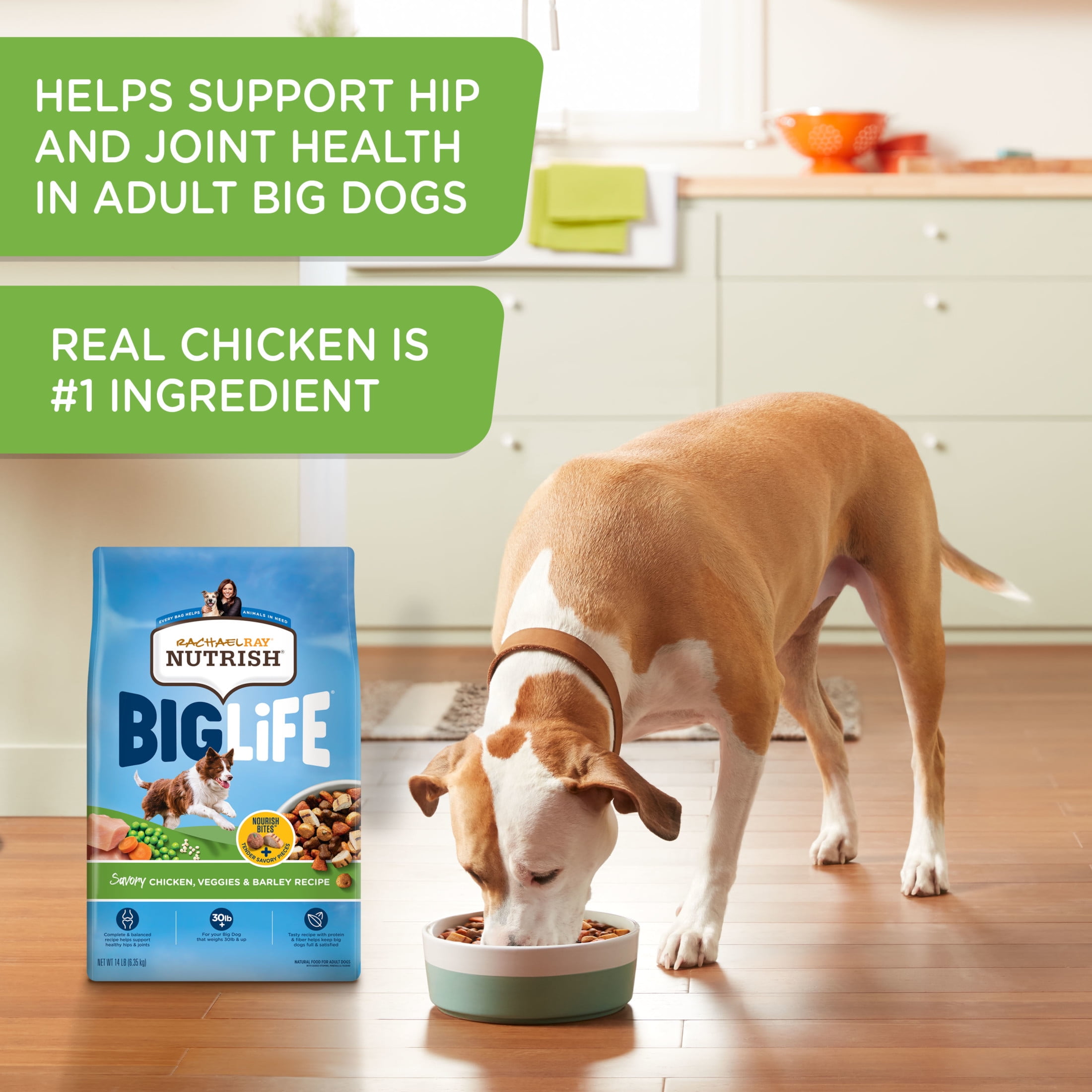 Rachael Ray Nutrish Big Life Savory Chicken, Veggies & Barley Recipe Dry Dog Food, 14 lb. Bag