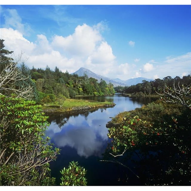 Posterazzi DPI1798438LARGE Rivière Passant à Travers une Forêt Connemara Comté Galway République d'Irlande Affiche Imprimée par la Collection d'Images Irlandaise, 28 x 26 - Grand