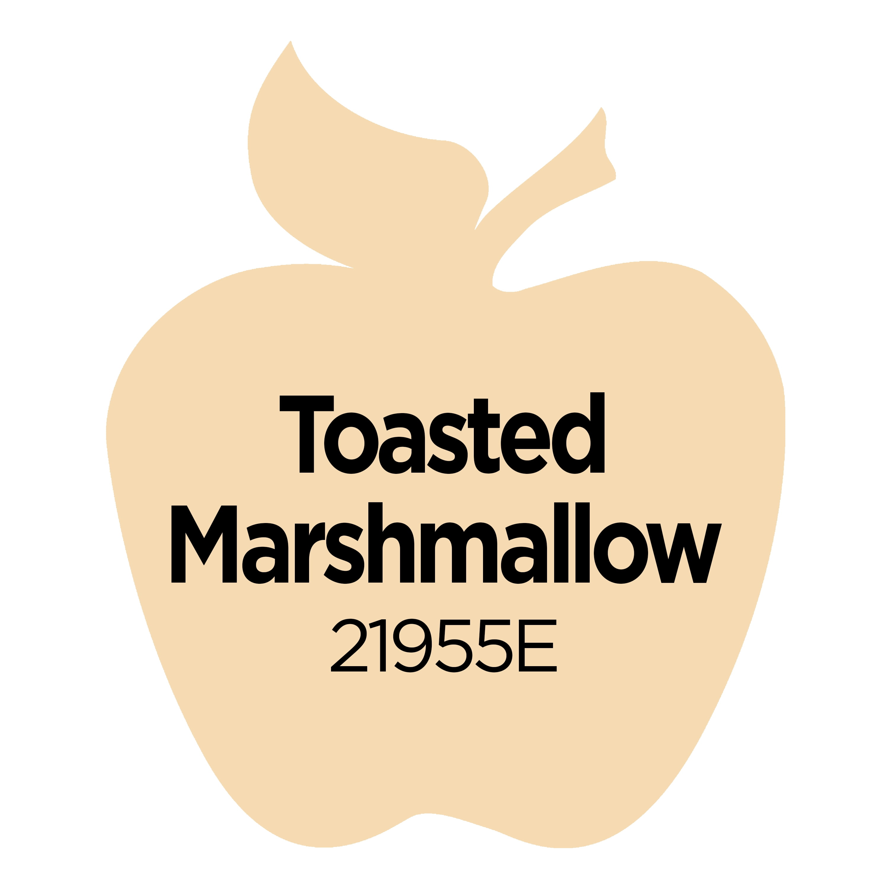 (2 pack) Apple Barrel Multi-Surface Acrylic Craft Paint, Satin Finish, Toasted Marshmallow, 2 fl oz