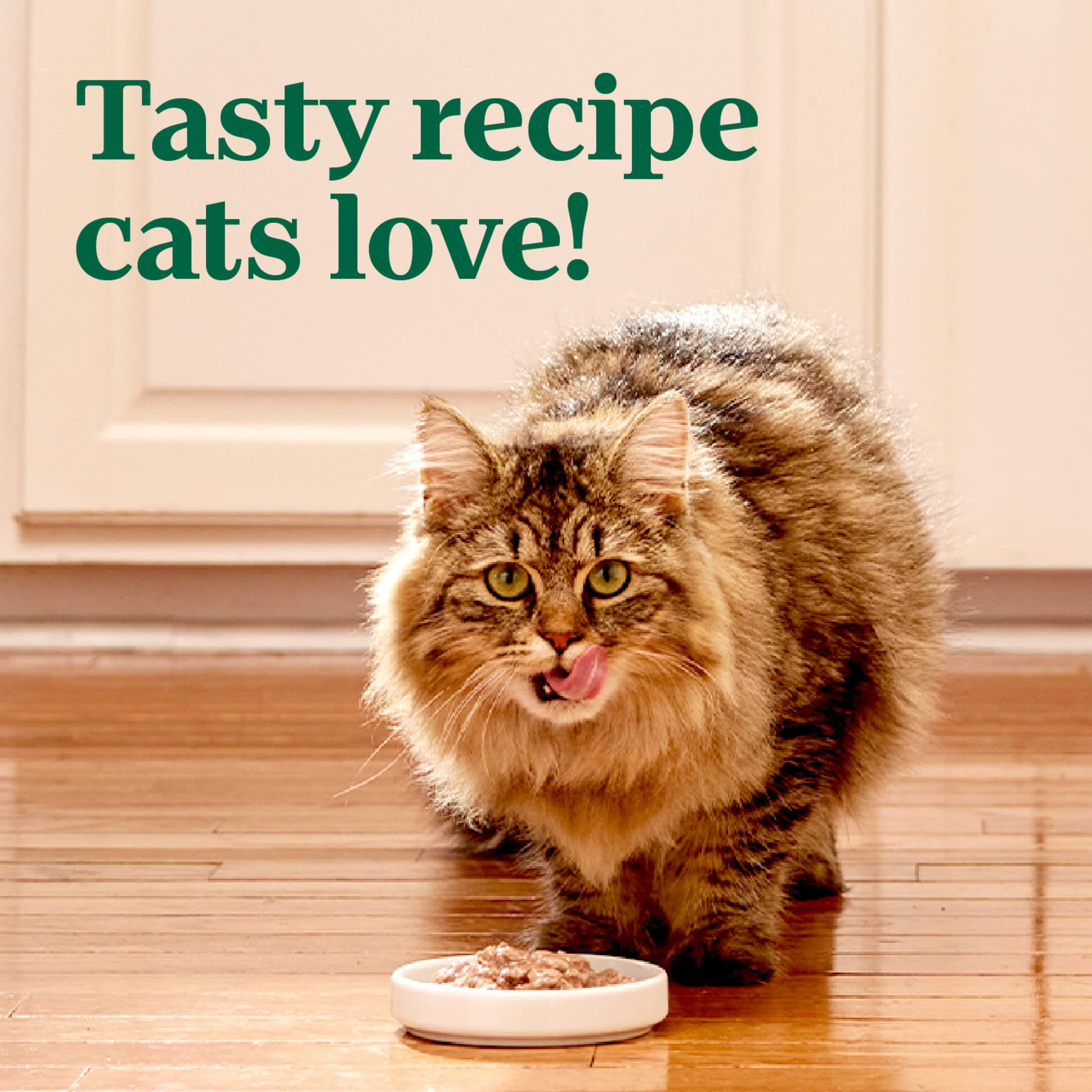 (24 pack) Nutro Perfect Portions Wet Cat Food, Cuts in Gravy Chicken Recipe, (24) 2.64 oz. Twin-Pack Trays