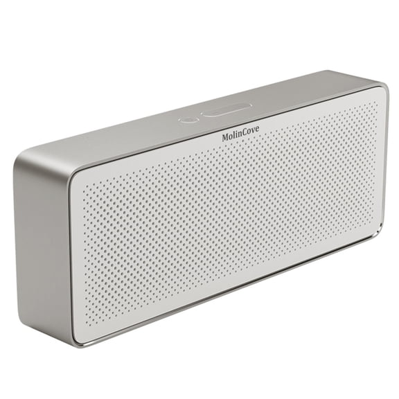 MolinCove Wireless speakers, Portable Speaker with 360 Degree Stereo and Loud Powerful Bass, 12H Play