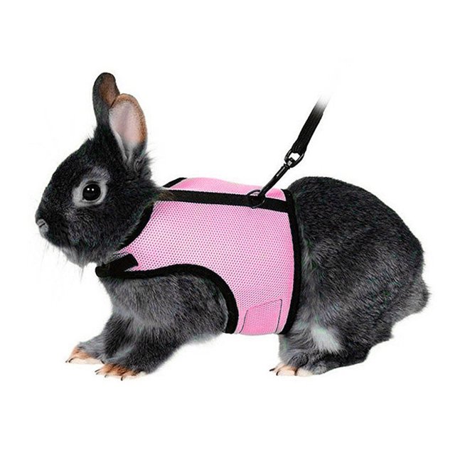 Miangastore Comfortable Rabbit Harness with Elastic Leash for Small Rabbits 120cm Long Adjustable at Chest and