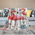 thumbnail image 2 of HENGT RHF Flamingo Gifts for Women Fuzzy Blanket, Plush Blanket,Fluffy Blanket,Bed Throw Blanket Gifts for Girls Cozy Gifts for Men, Kids Blanket,Bedroom Decor (Throw),Pink, 2 of 6