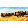 thumbnail image 3 of Edmunds, Sydney 18x11 Black Modern Framed Museum Art Print Titled - Running Wild, 3 of 5
