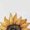 White, variant on Giraffe T Shirts for Women Short Sleeve Cotton Crewneck T-Shirt Sunflower Tee Tops Casual Basic T-Shirts, XS-5XL Black 5XL