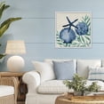 thumbnail image 2 of Stupell Industries Tampico Shells in Blue White Framed Giclee Art design by Paul Brent, 24 x 24, 2 of 8
