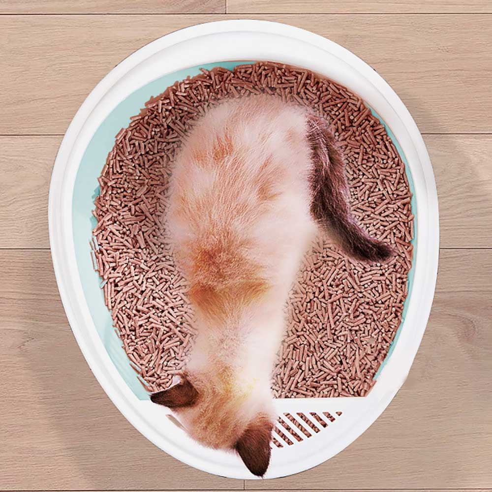 egg cat litter box