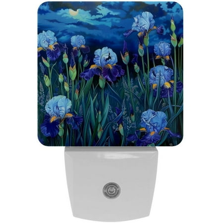 

itdsatrgt 2 Pack Blue Sky abd Irises Plug in LED Night Light Auto Sensor Dusk to Dawn Decorative Night for Bedroom Bathroom Kitchen Hallway Stairs Hallway Baby s Room Energy Saving