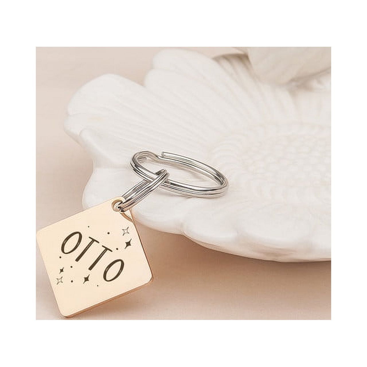 Anavia Stainless Steel Double Sided Diamond Name - Frame Engraved Dog & Cat ID Tag, Rose Gold, L