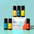 thumbnail image 6 of Plant Therapy Essential Oil Blends Set, Top 6 Most Popular, 100% Pure, Undiluted, Natural Aromatherapy 10 mL ea, 6 of 8