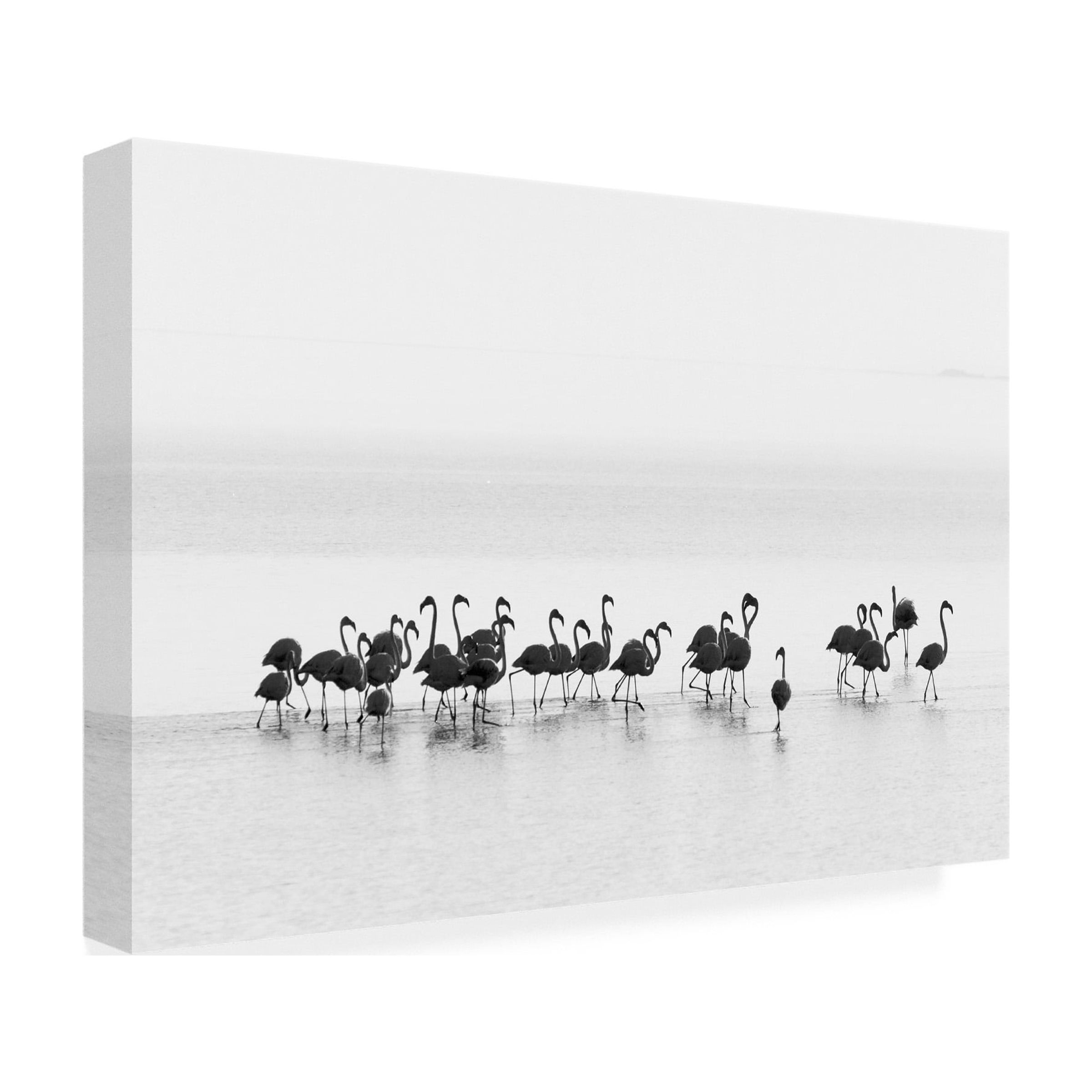 Joan Gil Raga 'Flamingos' Canvas Art