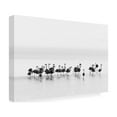 thumbnail image 4 of Joan Gil Raga 'Flamingos' Canvas Art, 4 of 4
