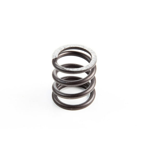 Briggs & Stratton OEM 26826  Spring-Valve