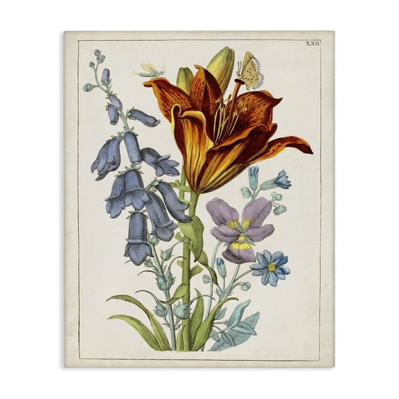 Stupell Industries Cottage Bugs & Vintage Flowers Canvas Art, 16 x 20, by World Art Group