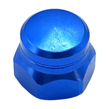 Wofarmy 1 P C S Nut Screw for Daiwa for Abu for Histar Casting Fishing Reel M8 Spindle Nut Screw 8X5mm Reel Parts Repair Fishing Tools Blue Right