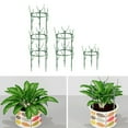 thumbnail image 2 of Premium Metal Plant Trellis Rings Promotes Healthy Growth of Climbing Flowers, 2 of 8