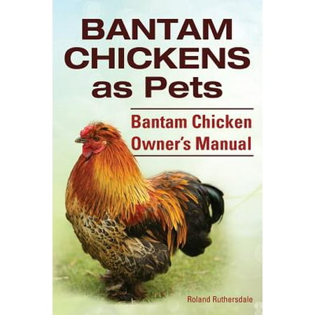 Bantam Chickens. Bantam Chickens as Pets. Bantam Chicken Owner's