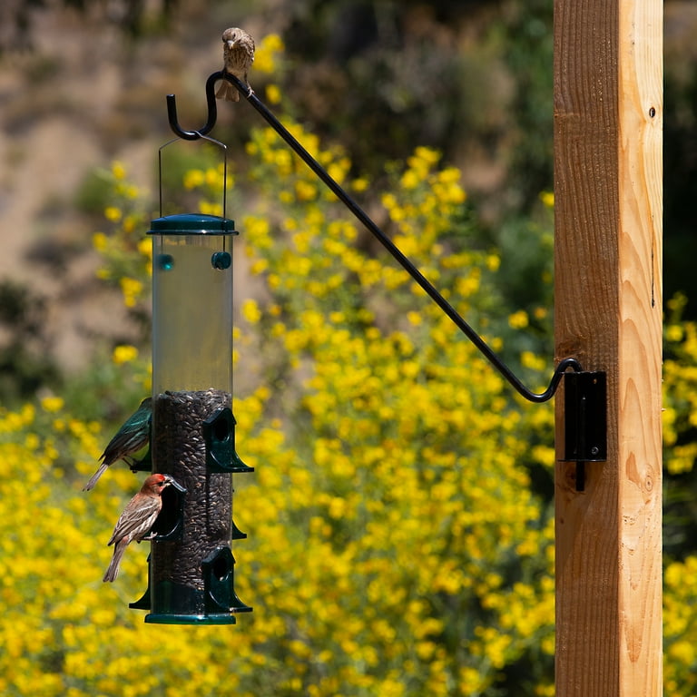 Stokes Select 18-in Wall Mounting Bracket For Bird Feeder, Hanging Plants, Lanterns Stokes Select 18-in Wall Mounting Bracket For Bird Feeder, Hanging Plants, Lanterns