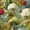 Color 3, variant on Peel and Stick Wallpaper Whimsical Forest Deer Birds Vibrant Trees 24in x 118in Contact Paper Removable Self Adhesive Wall Mural Wall Decor for Bedroom Kitchen Cabinets