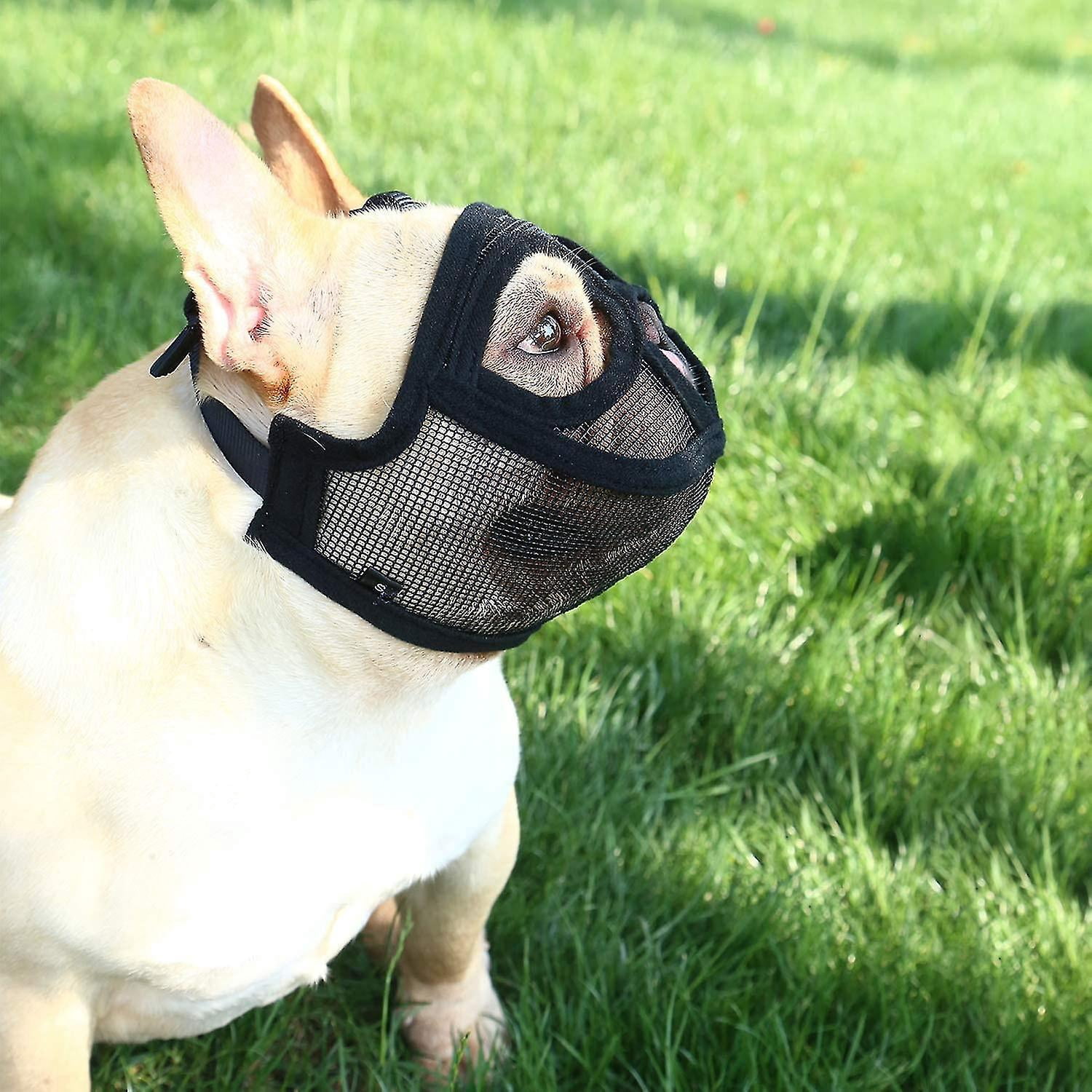 xxs dog muzzle