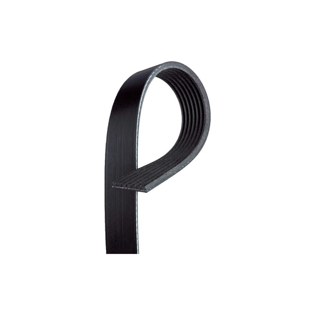 Cinturón serpentino ACDelco GM Original Equipment 12634319