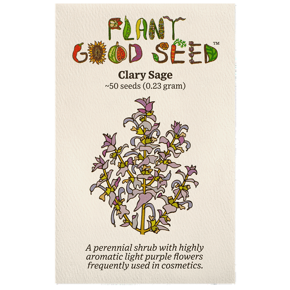 Plant Good Seed Clary Sage Seeds - 50 Seeds for Garden & Patio