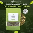 thumbnail image 2 of Biokoma Pure and Natural Celandine Dried Herb 50g (1.76oz) in Resealable Moisture Proof Pouch - Herbal Tea, No Additives, No Preservatives, Kosher, 2 of 8