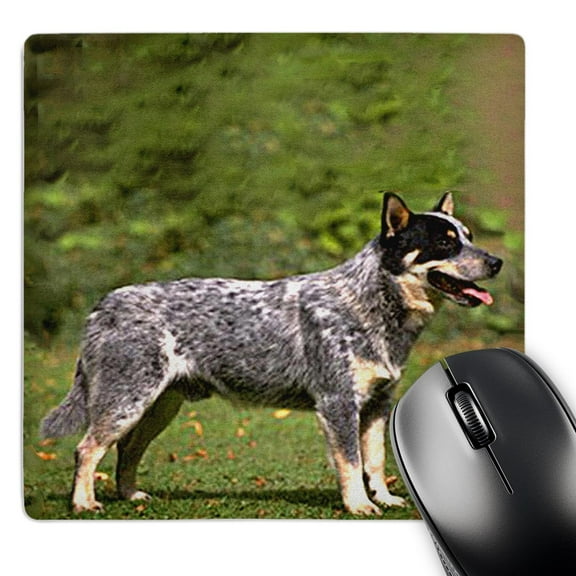 3dRose, Australian Cattle Dog, MousePad