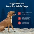 thumbnail image 5 of Blue Buffalo Wilderness Rocky Mountain Recipe High Protein Large Breed Adult Dry Dog Food, Natural Ingredients Plus Wholesome Grains, Red Meat, 22 lb. Bag, 5 of 12