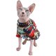thumbnail image 5 of Camisas de algodón de verano transpirables para gatos sin pelo, ropa para mascotas con collar dorado, camisetas amarillas para gatitos con mangas, ropa para gatos y perros pequeños Namotu CZCW-ZC448-4, 5 of 6