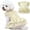 Champagne, variant on UOSIA Dog Dress Tutu Princess Skirt for Puppy Pet Wedding Dress Formal Apparel for Birthday Party Holiday