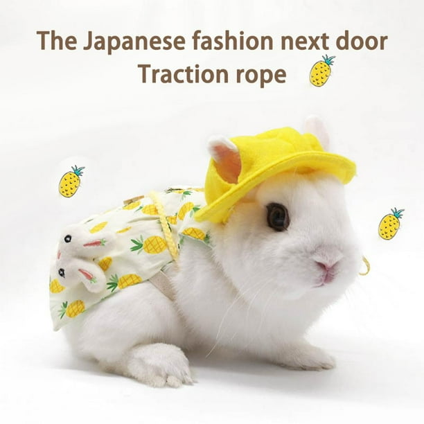 Vestido de mascota Set conejo Correa flor ropa cumpleaños diario