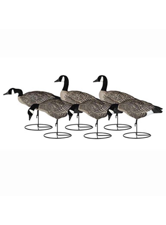 Goose Decoys in Decoys