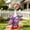 Purple-Free Size/PP, variant on 7 Inch Mini Desk Goose Outfits 4 Piece Summer Theme Magnetic Porch Geese Desk Decor Summer Gifts