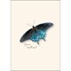 thumbnail image 4 of Juego de tarjetas de notas Earth Sky + Water 9 cm x 13 cm, paquete de 8, 4 of 6