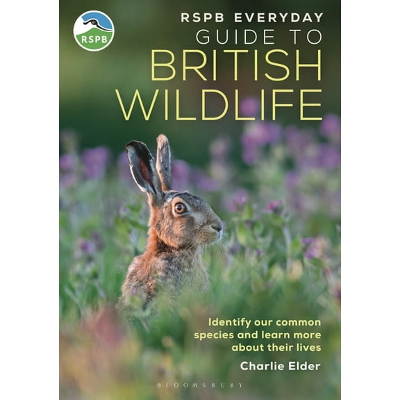 Rspb Rspb Everyday Guide to British Wildlife: Identify Our Common Species and Learn More about Their Lives, (Paperback)