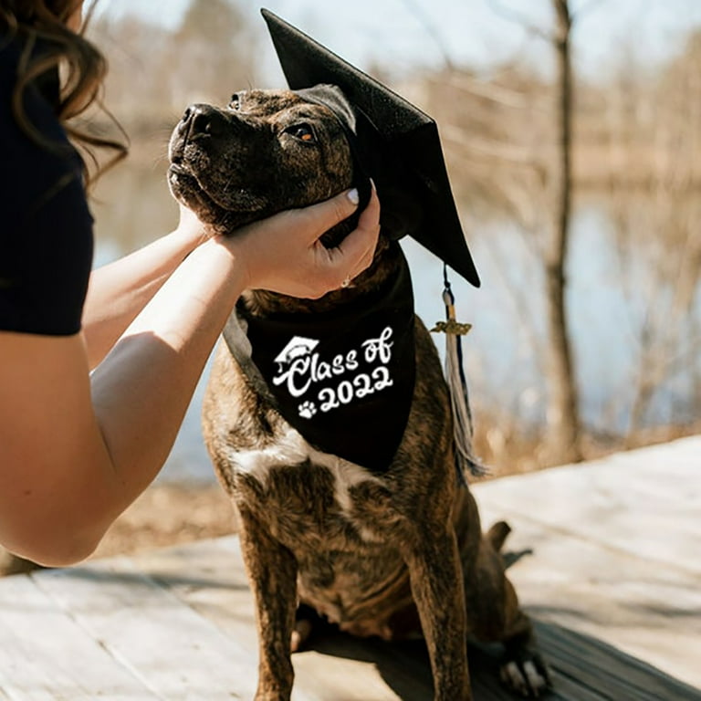 Dog deals graduation bandana